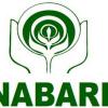 NABARD Recruitment 2024 नाबार्डमध्ये विशेषज्ञ पदांसाठी रिक्त जागा, शेवटच्या तारखेपासून पात्रतेपर्यंत इतर तपशील जाणून घ्या