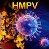 HMPV Virus: तो कसा पसरतो, लक्षणे आणि खबरदारी, ह्यूमन मेटापन्यूमोव्हायरस बद्दल तपशीलवार माहिती वाचा