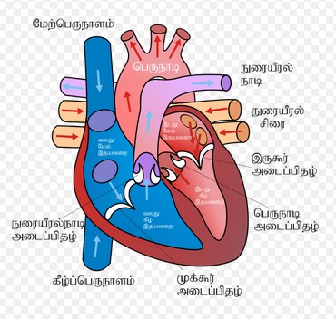 2 மணி நேரத்தில் பெங்களூரிலிருந்து சென்னைக்குப் ...