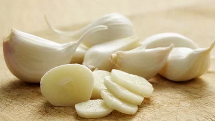 Garlic