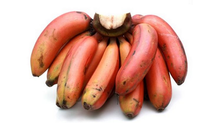 Red Banana