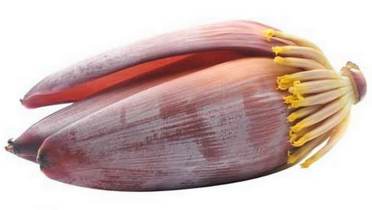 Banana flower