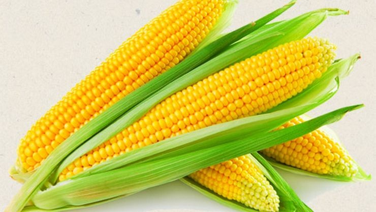 corn