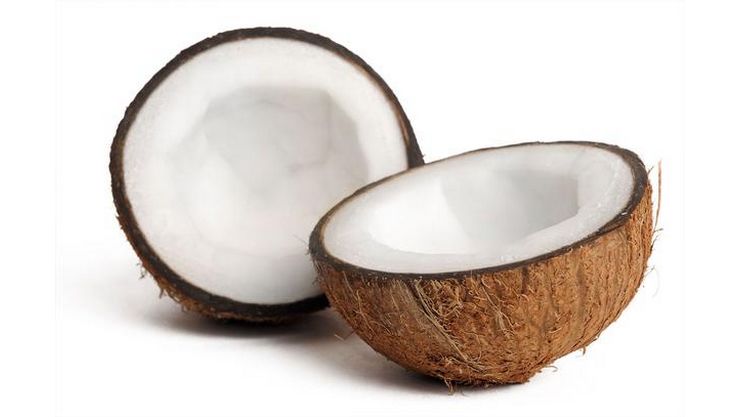 coconut