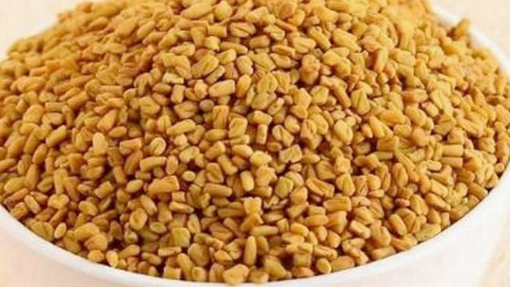 Fenugreek