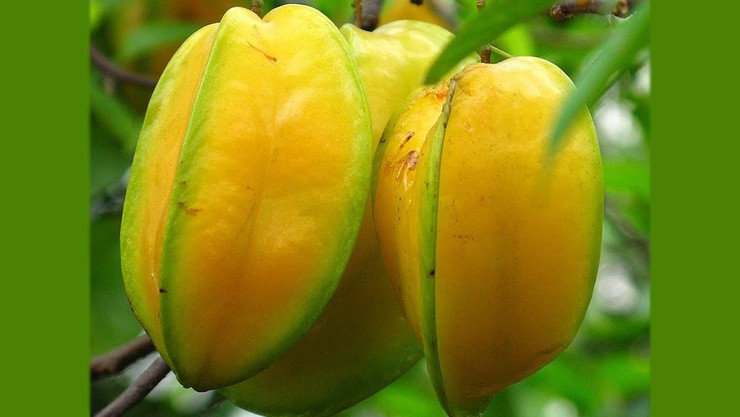 Star Fruit