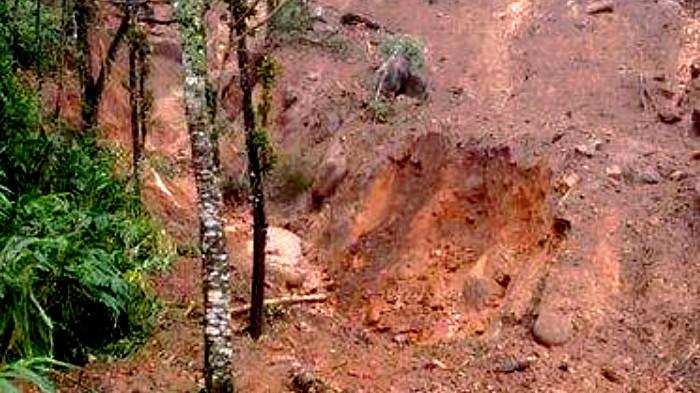 கனமழை காரணமாக  நிலச்சரிவு.. சிம்லாவில் 80 சாலைகள் மூடப்பட்டன..!