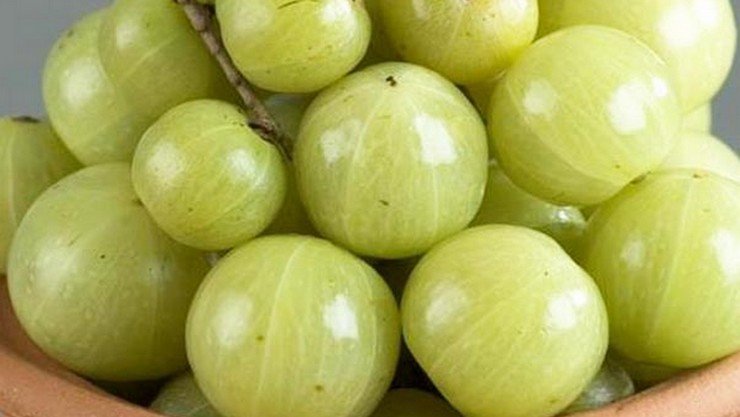 Gooseberry