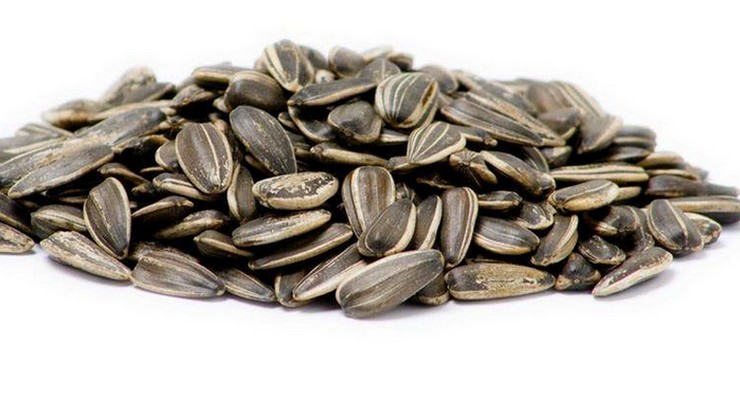 Sunflower - Seeds