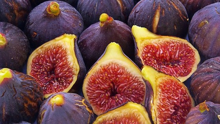 Figs