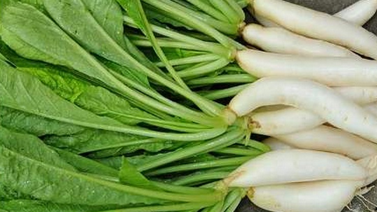 Radish spinach