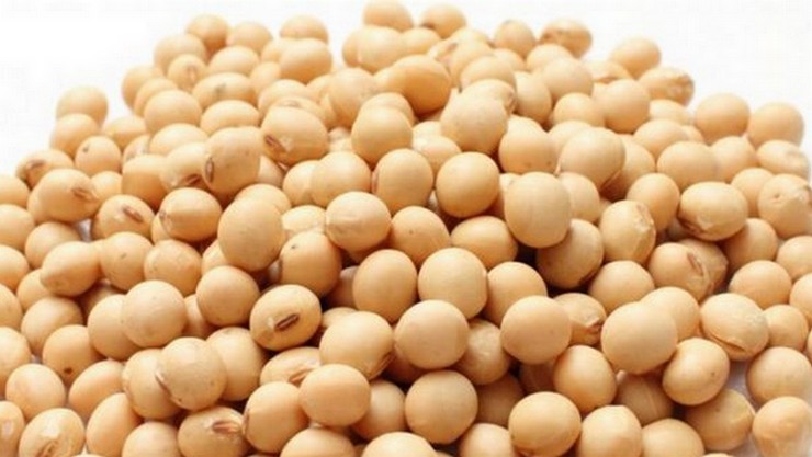 Soybeans