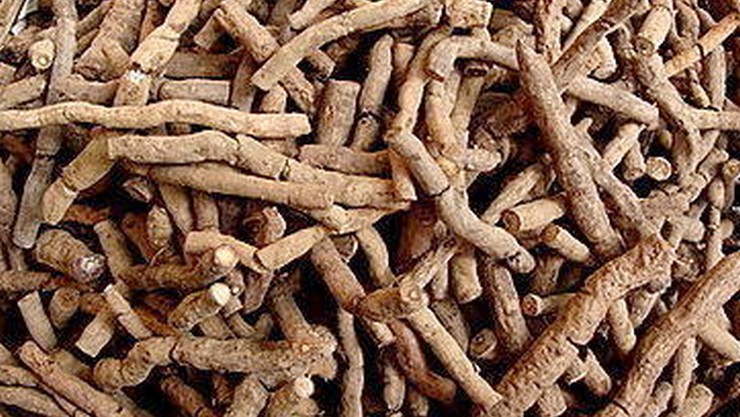 Nannari Root