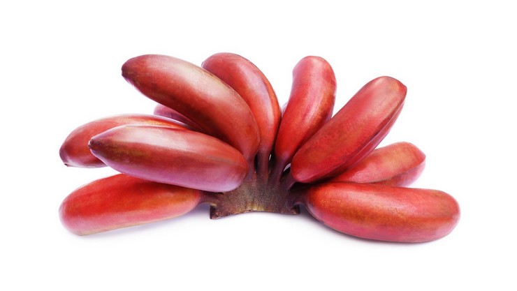 Red banana