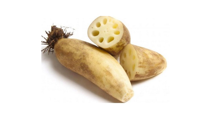 Lotus root