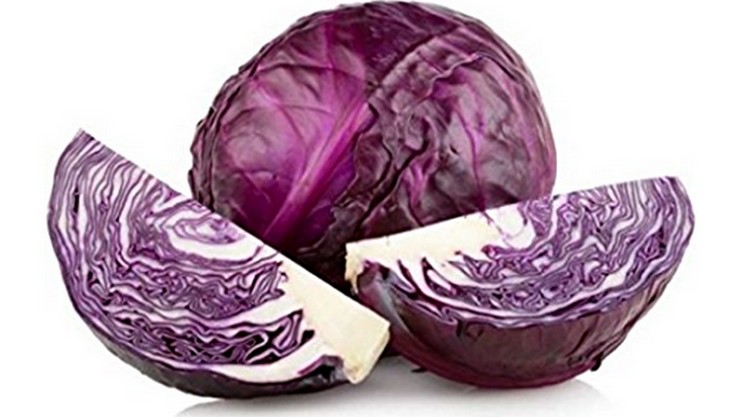 Red Cabbage