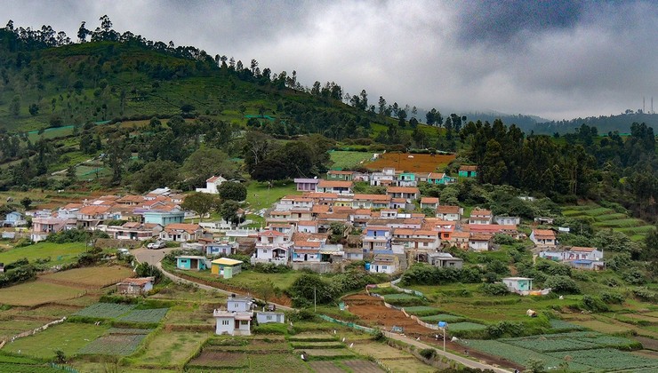 Nilgris