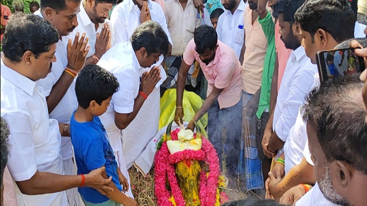 ஜல்லிகட்டில் மயங்கி விழுந்த  விஜயபாஸ்கரின் காளை உயிரிழப்பு!