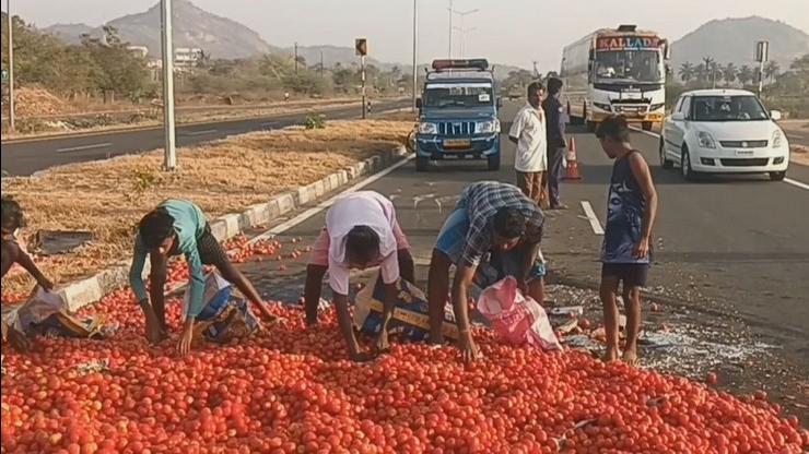 தக்காளி வேன் கவிழ்ந்து விபத்து..! சாலையில் மலைப்போல் குவிந்த தக்காளி! – அள்ளிச் சென்ற மக்கள்!