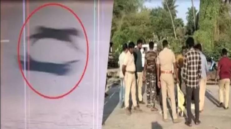 மேலும் ஒரு ஆட்டை கொன்ற சிறுத்தை..!  4-வது நாளாக தேடும் பணி தீவிரம்..!