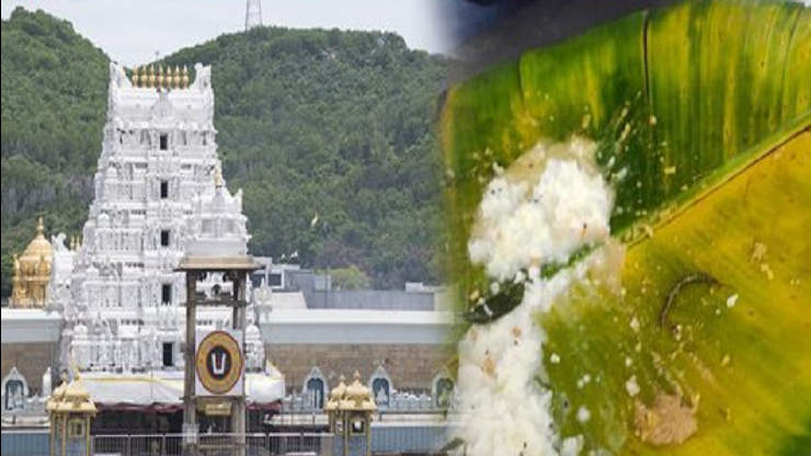 திருப்பதி தயிர்சாதம் பிரசாதத்தில் பூரான்? தேவஸ்தானம் அளித்த விளக்கம் ...