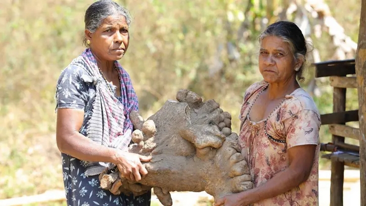 Maravalli Kizhangu
