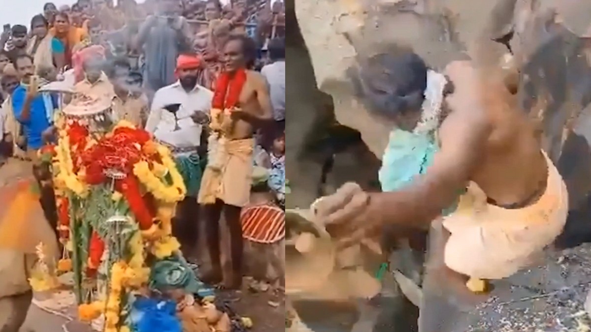 எனக்கு பறக்கும் சக்தி உண்டு!.. கீழே குதித்த ...