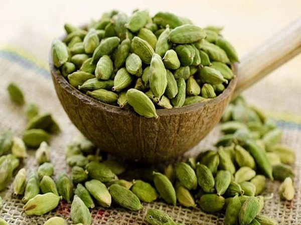 Cardamom