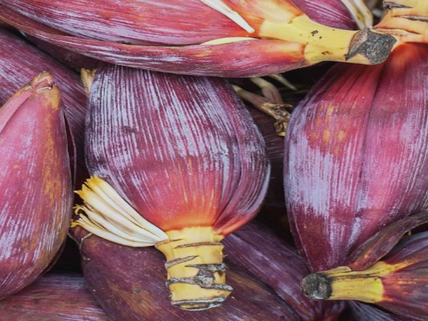 banana flower