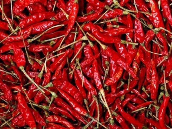 chilli