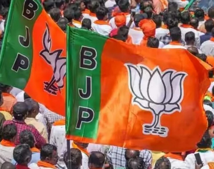 bjp flags