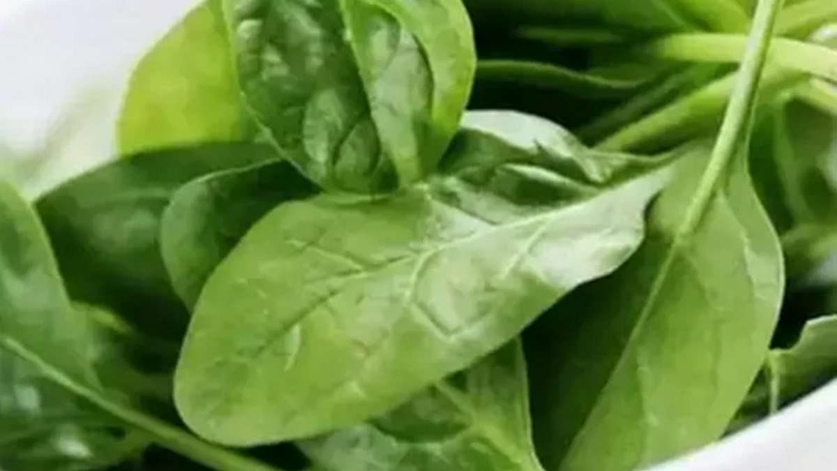 చలికాలంలో ఎలాంటి కూరగాయలు తినాలో తెలుసా?