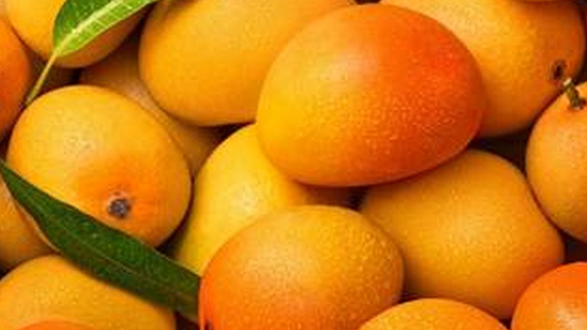 కేన్సర్‌ను నిరోధించే మామిడి పండ్లు, ఎలాగ?