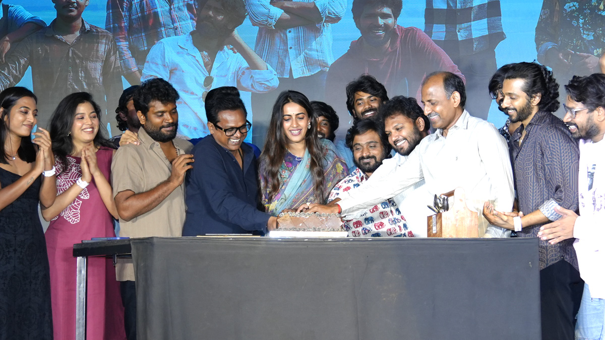 Niharika: తొమ్మిది కోట్ల బడ్జెట్, ఓటీటీ తిరస్కరణ, ...