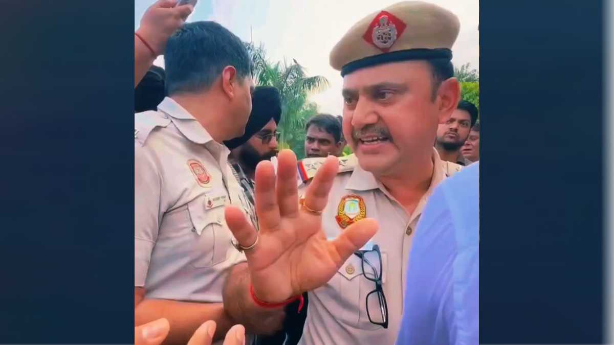 బొద్దింకలు పబ్లిక్ గార్డెన్‌లో మీట్ అవుతున్నాయి: ...