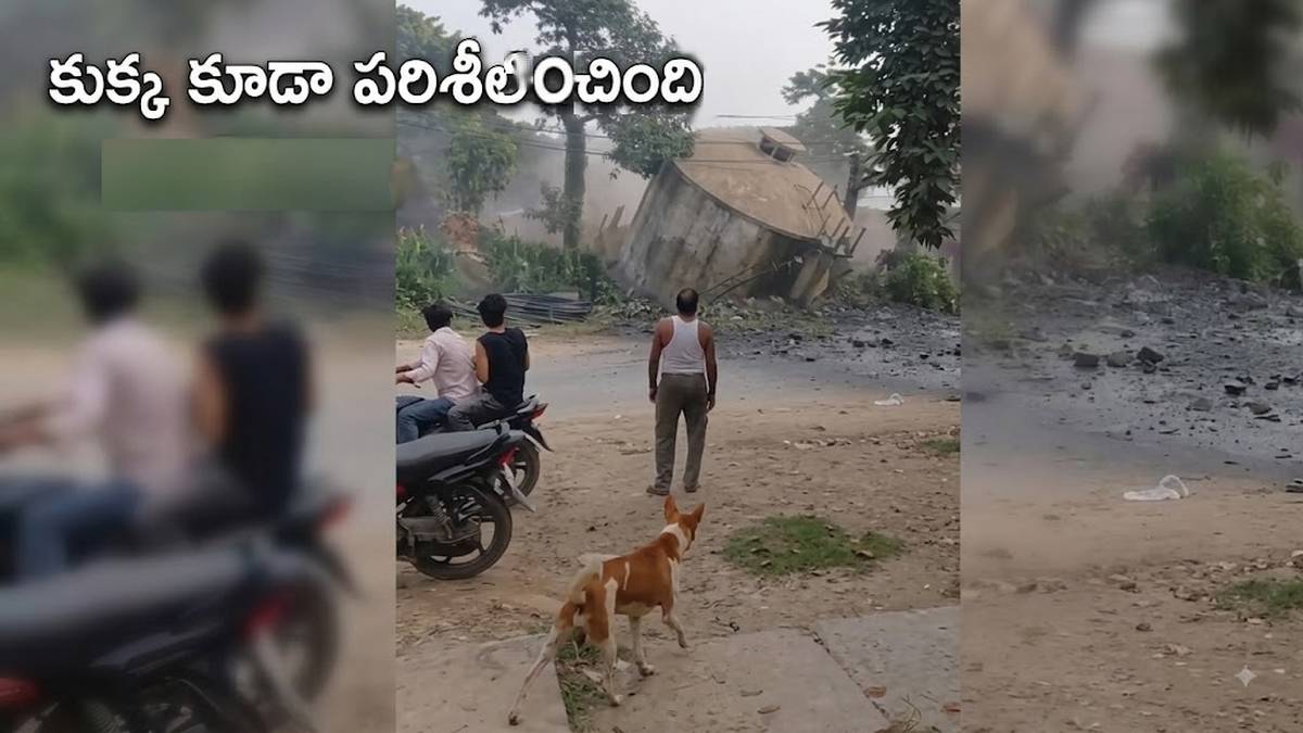 ఒక్కసారిగా కుప్పకూలిన వాటర్‌ హెడ్‌ట్యాంక్, కుక్క ...