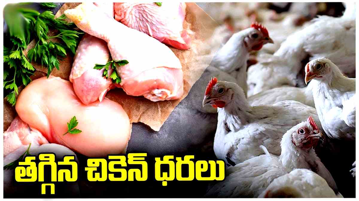 భారీగా పడిపోయిన చికెన్ ధరలు, కారణం ఇదే