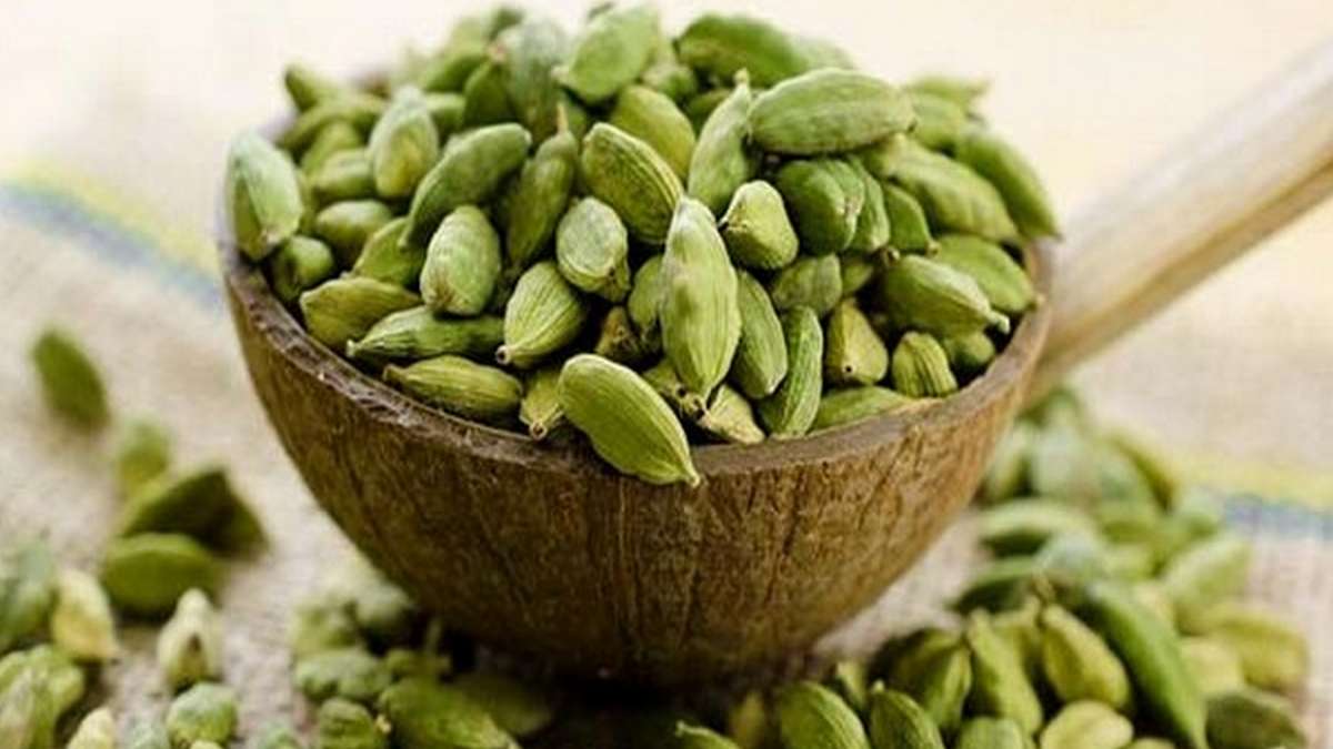 యాలుకలు తింటే కలిగే ఆరోగ్య ప్రయోజనాలు ఏమిటి?