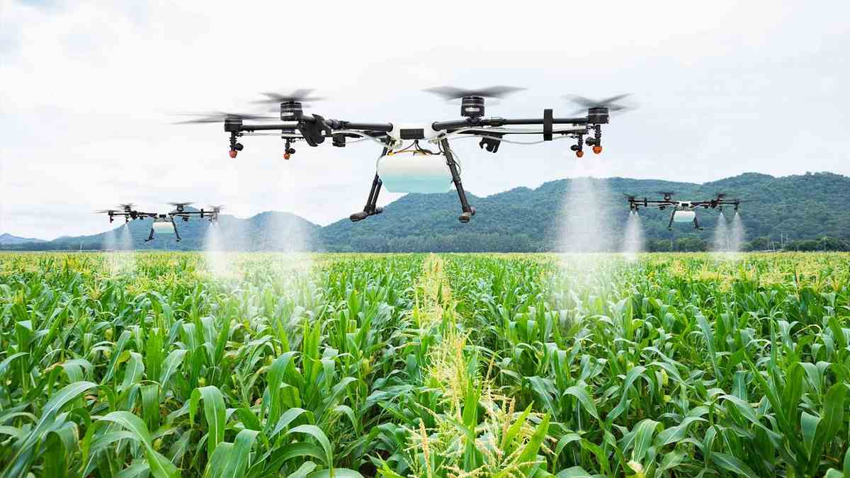 రాయలసీమ ఉద్యానవన సాగులో డ్రోన్‌ల వినియోగం- ...