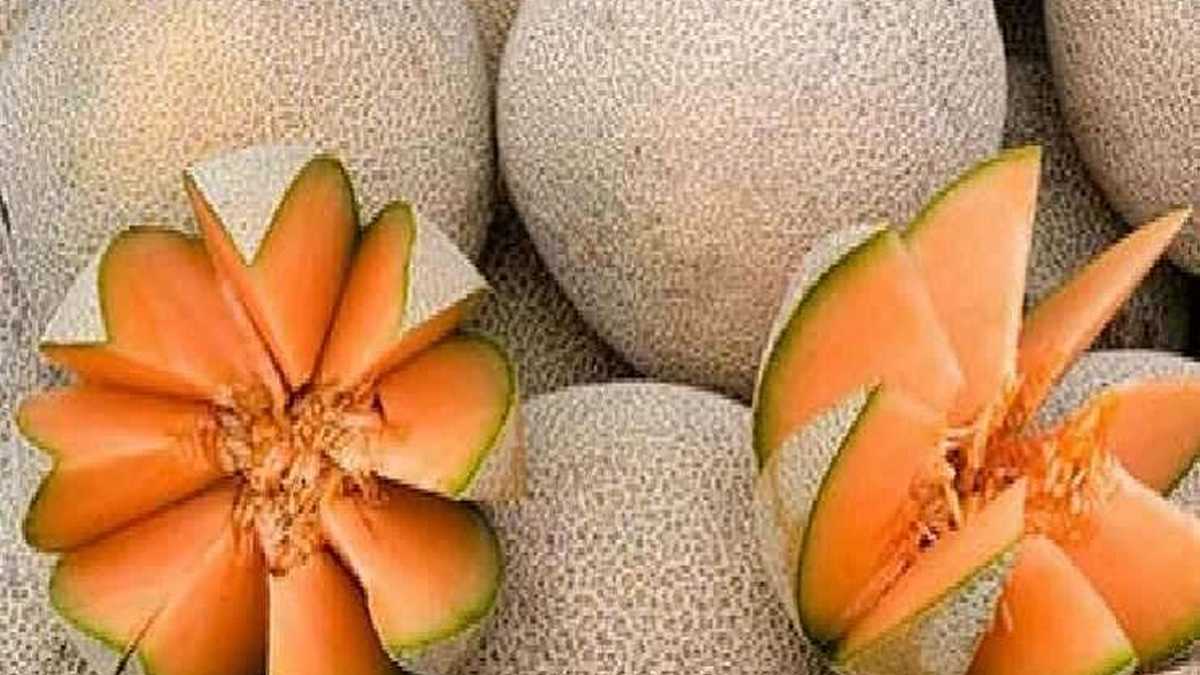 విరేచనాలు అవుతున్నప్పుడు కర్బూజా జ్యూస్ తాగితే ...