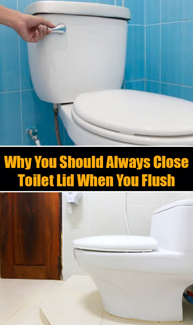 Here's why you should always close toilet lid when you flush