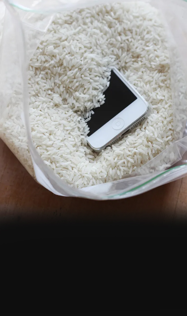 Do not put your wet iPhone in rice, warns Apple. Here’s what to do instead