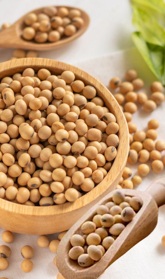 Do you know excessive soybean consumption is bad for men?