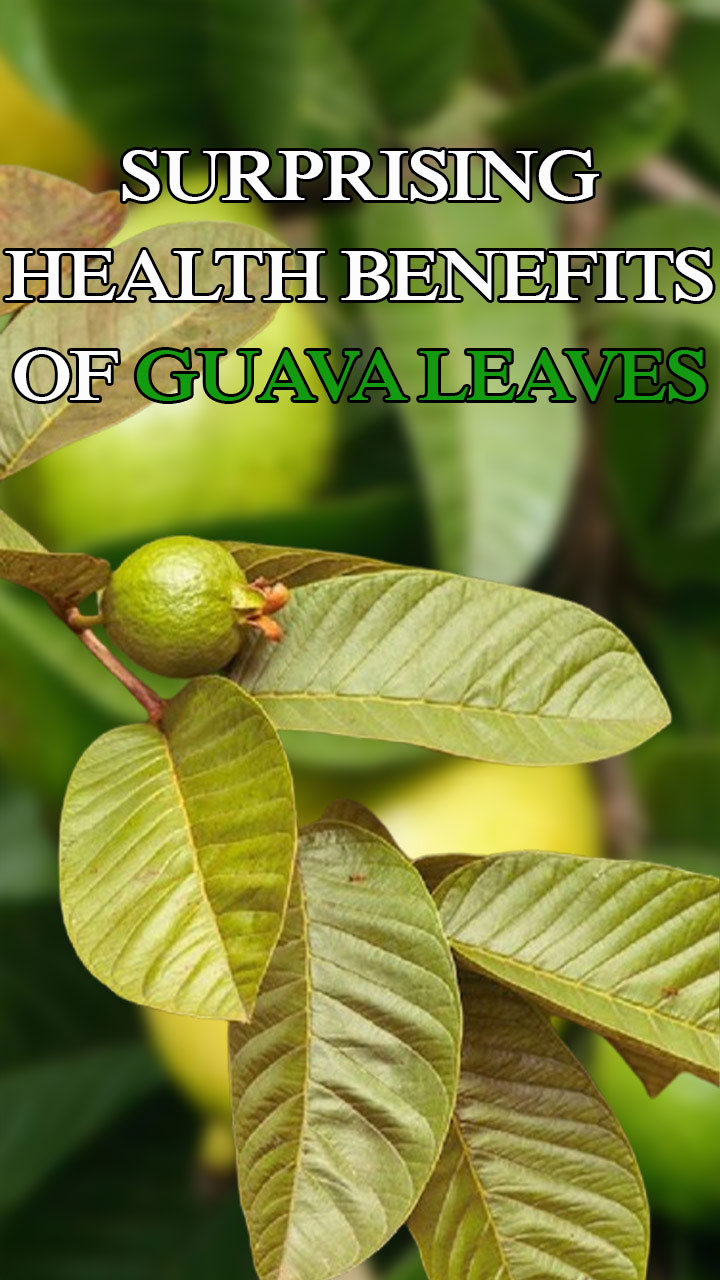 Surprising health benefits of guava leaves