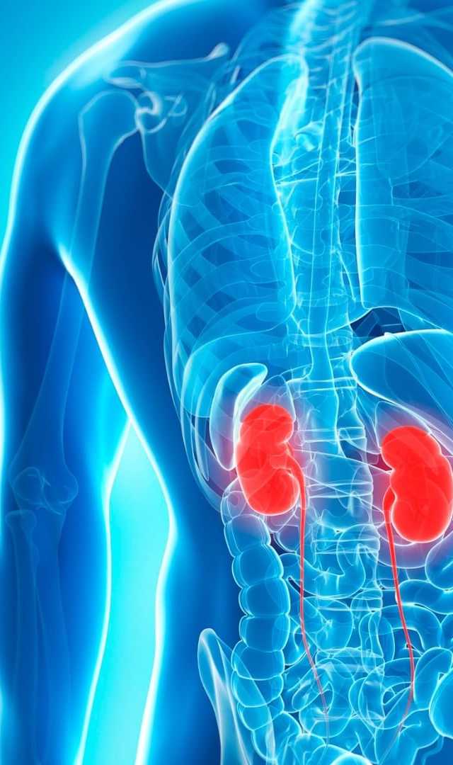 7 signs you may have kidney disease
