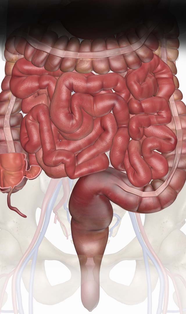 Doctors surgically remove poop weighting 20 kg from woman who suffered constipation for 10 days