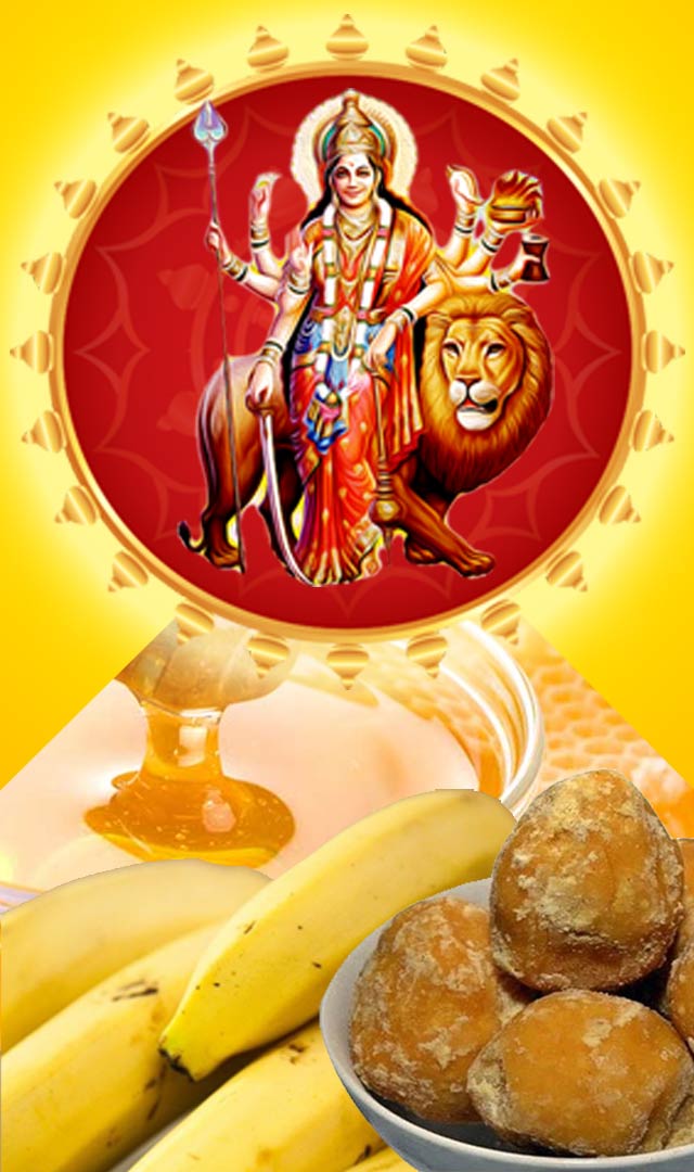 Navratri Prasad for 9 days