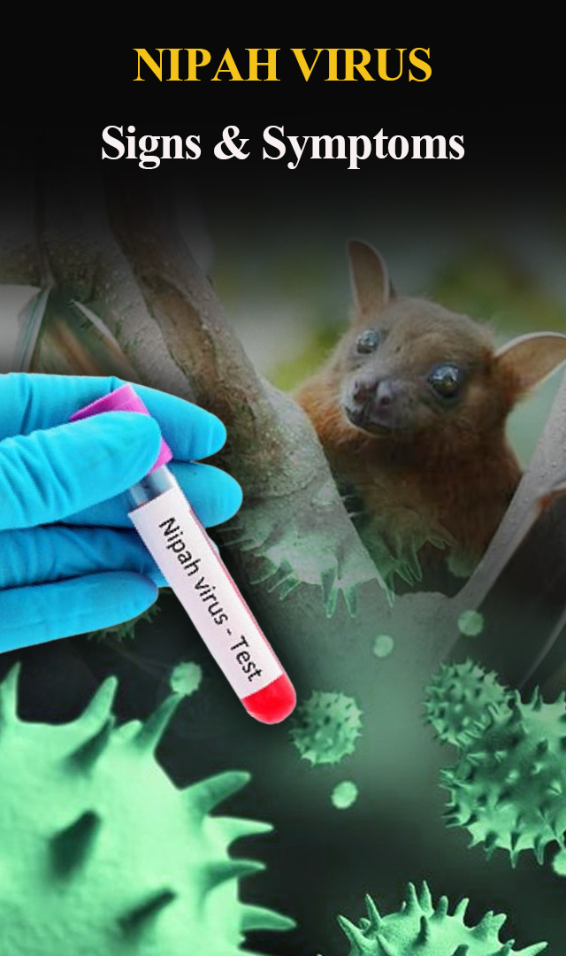 Nipah virus: Signs & symptoms of the deadly virus 