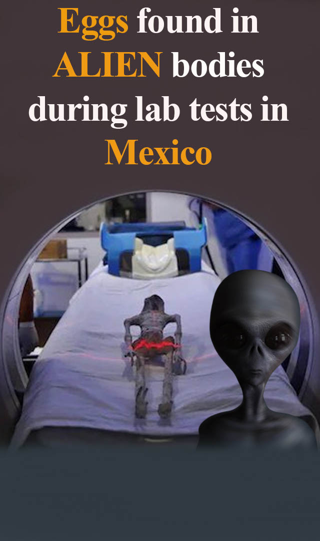 Eggs found in ‘alien bodies’ during lab tests in Mexico