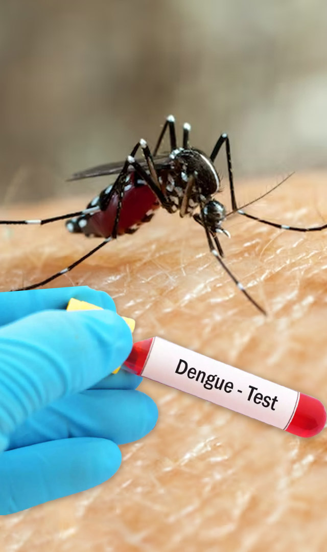 7 warning signs of dengue fever